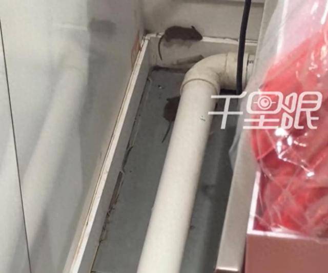 网曝蜜雪冰城一门店有多只老鼠横行<strong></p>
<p>麦奇币行情</strong>，涉事门店员工回应