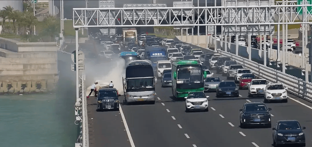 粤B·97821D、粤Z·AG85澳、粤T·91736<strong></p>
<p>gxs币交易</strong>,你们被拍下来了!