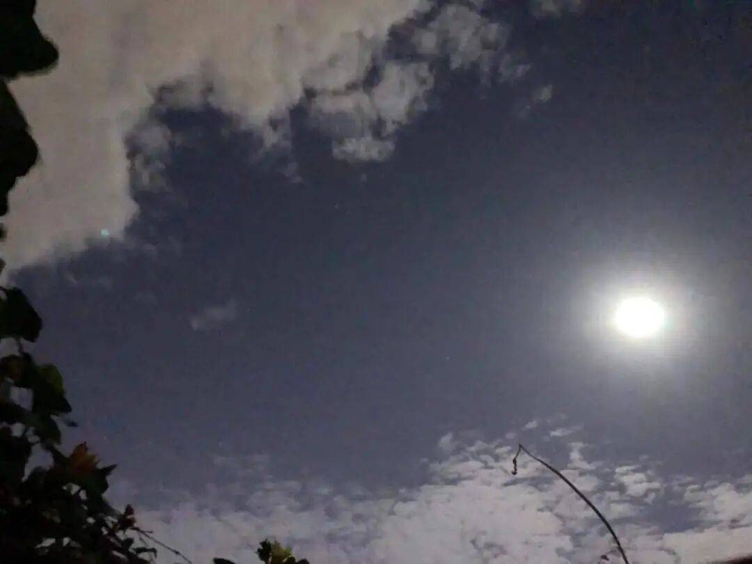 没有什么能阻挡!今天<strong></p>
<p>gxs币交易</strong>,广西人就是要回家!