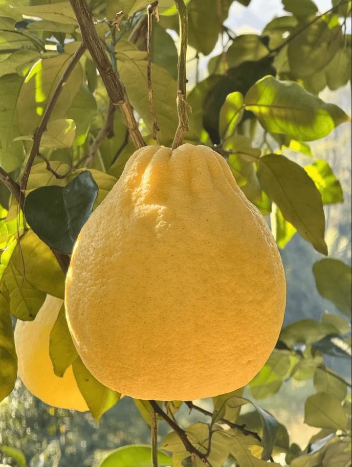 没有什么能阻挡!今天<strong></p>
<p>gxs币交易</strong>,广西人就是要回家!