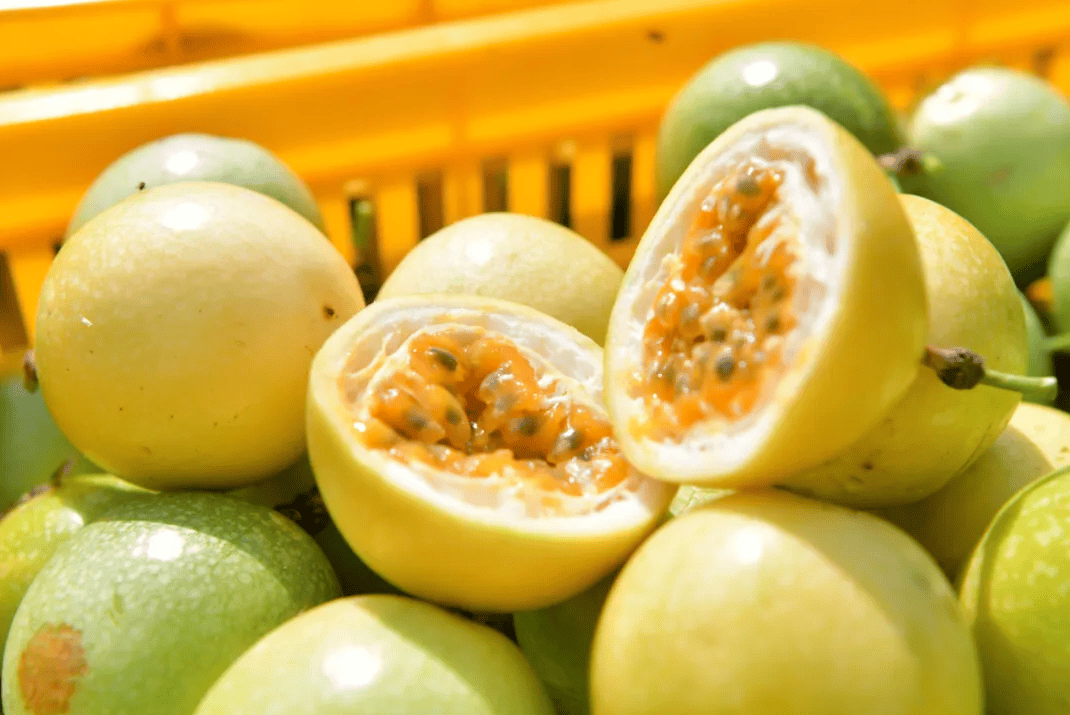 没有什么能阻挡!今天<strong></p>
<p>gxs币交易</strong>,广西人就是要回家!