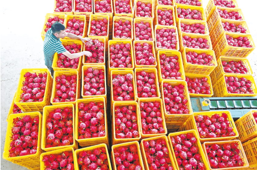 没有什么能阻挡!今天<strong></p>
<p>gxs币交易</strong>,广西人就是要回家!