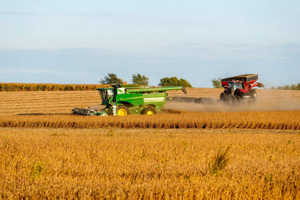 丢了中国市场<strong></p>
<p>炒币培训</strong>，美国全球“找补”：印度也买点吧