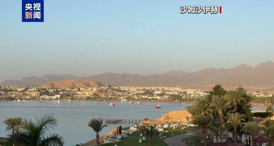 哈马斯、普京最新发声<strong></p>
<p>炒币培训</strong>！