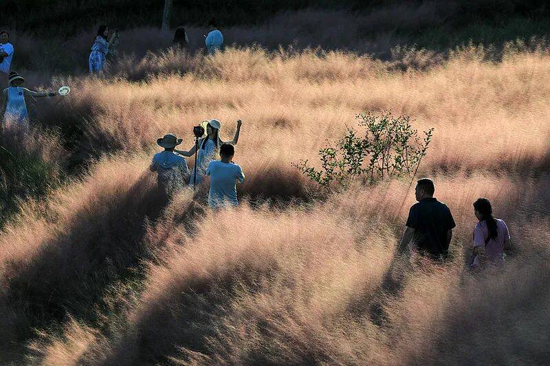 打卡拍照<strong></p>
<p>炒币培训</strong>,再美也不能用生命对焦