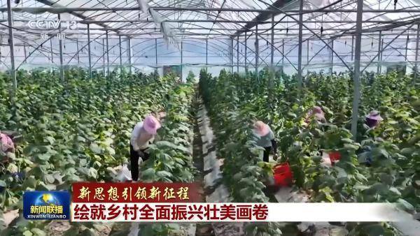 新思想引领新征程丨绘就乡村全面振兴壮美画卷