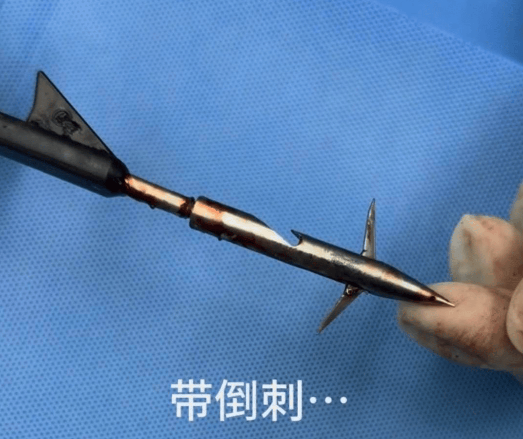 教育局回应“一教师用弓箭射杀小狗”:不实<strong></p>
<p>币圈搬砖套利</strong>,小狗进学校前就被射伤