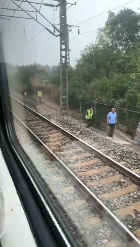 湖北一列车撞上野猪致停运<strong></p>
<p>币圈搬砖套利</strong>,铁路局:野猪已无害化处理,列车正常运行;附近曾发生多起野猪伤人事件