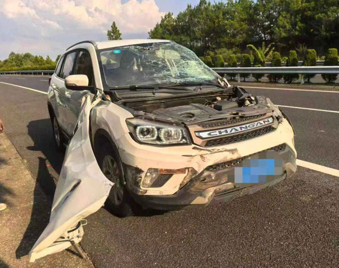 “我撒谎天打雷劈!”男子高速突然强行变道致翻车<strong></p>
<p>币圈搬砖套利</strong>,反诬赖对方