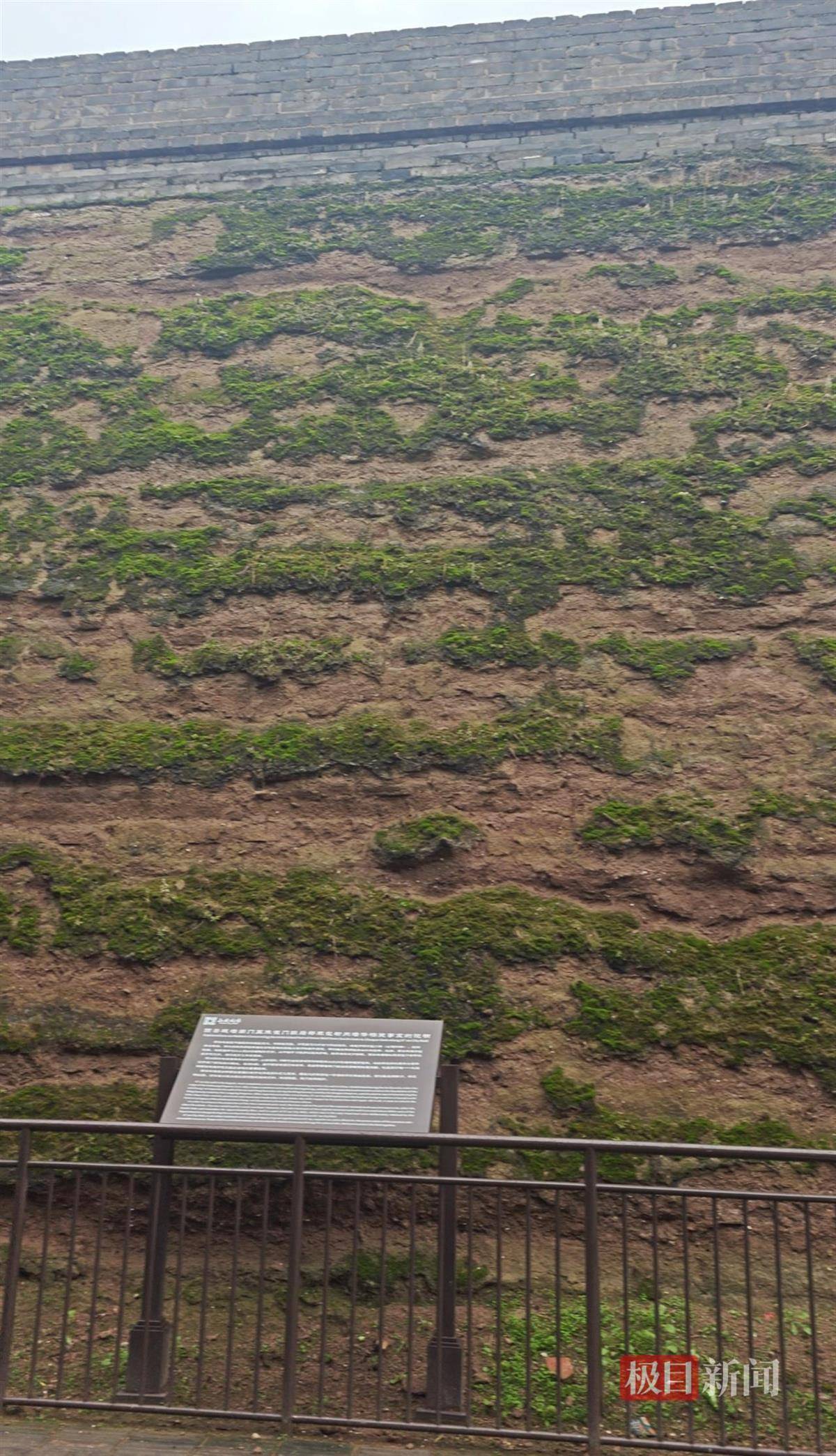 西安连续一个多月降雨遍地长蘑菇<strong></p>
<p>吹牛币</strong>,大雁塔受潮,城墙布满青苔,气象局解释成因