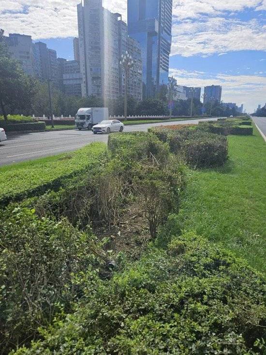 小米汽车失控起火司机遇难<strong></p>
<p>吹牛币</strong>，目击者称车速150km/h，实探事故地：燃烧留下的印记仍在