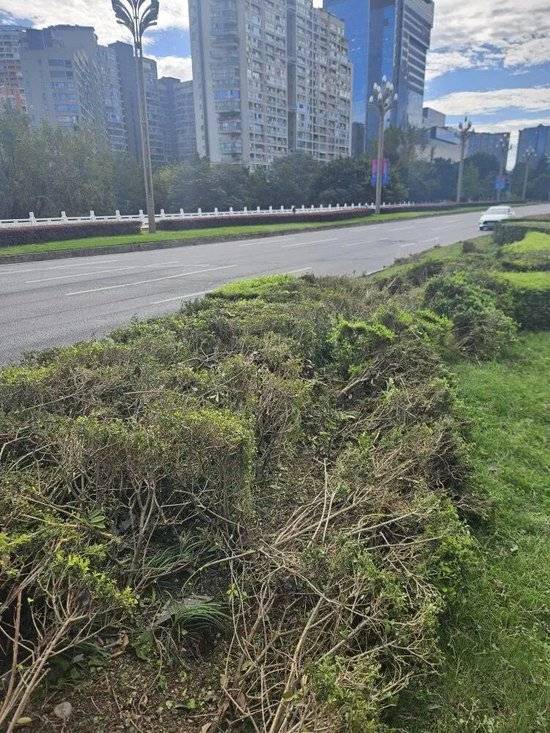 小米汽车失控起火司机遇难<strong></p>
<p>吹牛币</strong>，目击者称车速150km/h，实探事故地：燃烧留下的印记仍在