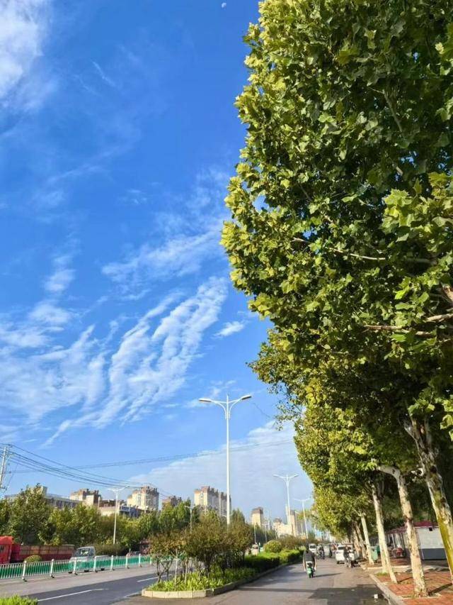 济南<strong></p>
<p>吹牛币</strong>,转晴!山东,转晴!好久不见的太阳,来了!