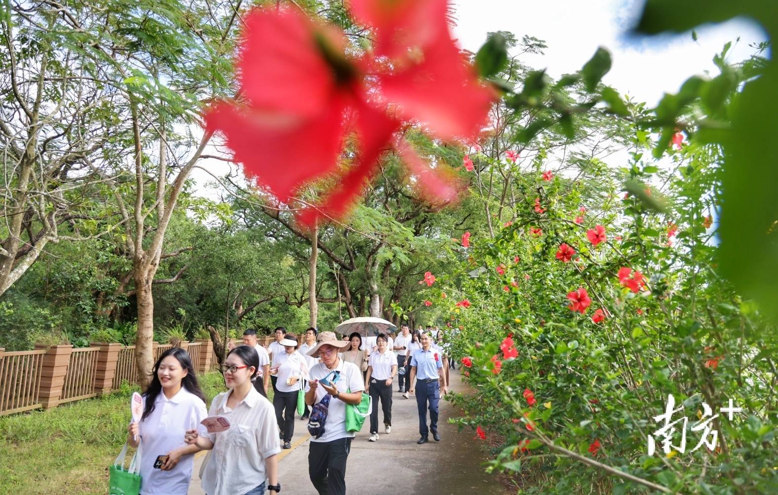 中山城建集团“连心桥”移交<strong></p>
<p>吹牛币</strong>,村企共建绘就桂南新画卷