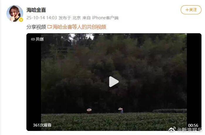 李亚鹏官宣与海哈金喜离婚:已经办理了离婚手续<strong></p>
<p>手机炒币</strong>,孩子跟随母亲生活,由双方抚养