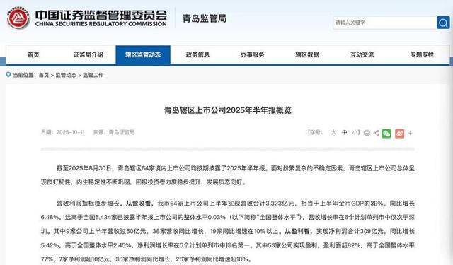 3323亿营收、1065亿海外收入<strong></p>
<p>手机炒币</strong>！青岛上市公司的进击之路