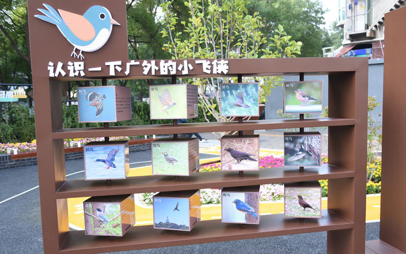 西城区广外街道：“断头路”变身口袋公园<strong></p>
<p>币圈常见问题</strong>，装满民生“微幸福”