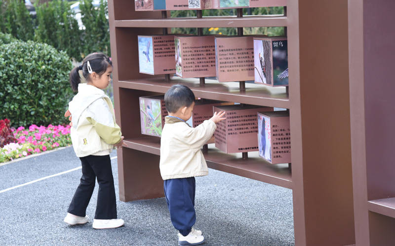 西城区广外街道：“断头路”变身口袋公园<strong></p>
<p>币圈常见问题</strong>，装满民生“微幸福”