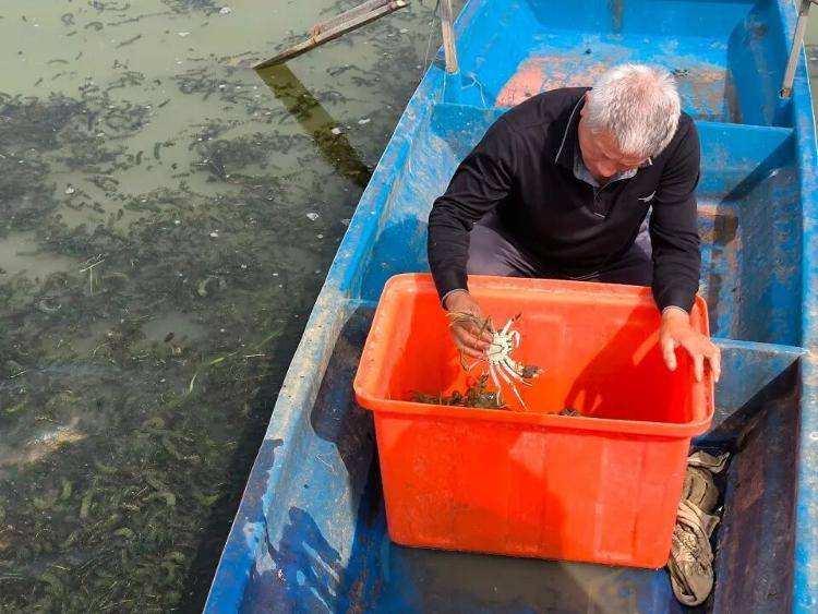 武汉江夏一地大闸蟹大量上市<strong></p>
<p>币圈常见问题</strong>，日产1000斤当天售完，每只螃蟹有自己的“身份证”，吃深海小黄鱼长大