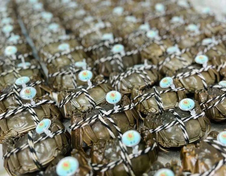 武汉江夏一地大闸蟹大量上市<strong></p>
<p>币圈常见问题</strong>，日产1000斤当天售完，每只螃蟹有自己的“身份证”，吃深海小黄鱼长大