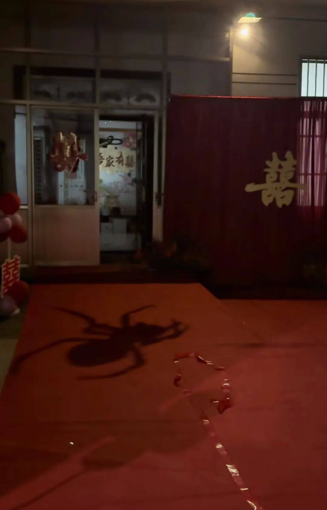 山东一新娘家凌晨出现巨大蜘蛛的倒影，拍摄者：蜘蛛爬在灯泡上，网友：这才是喜结连理