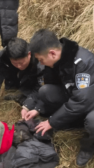 辽宁4岁女童称睡醒后自行下车<strong></p>
<p>xrp币行情</strong>,迷路后睡在草地,期间无人接触;其母发声