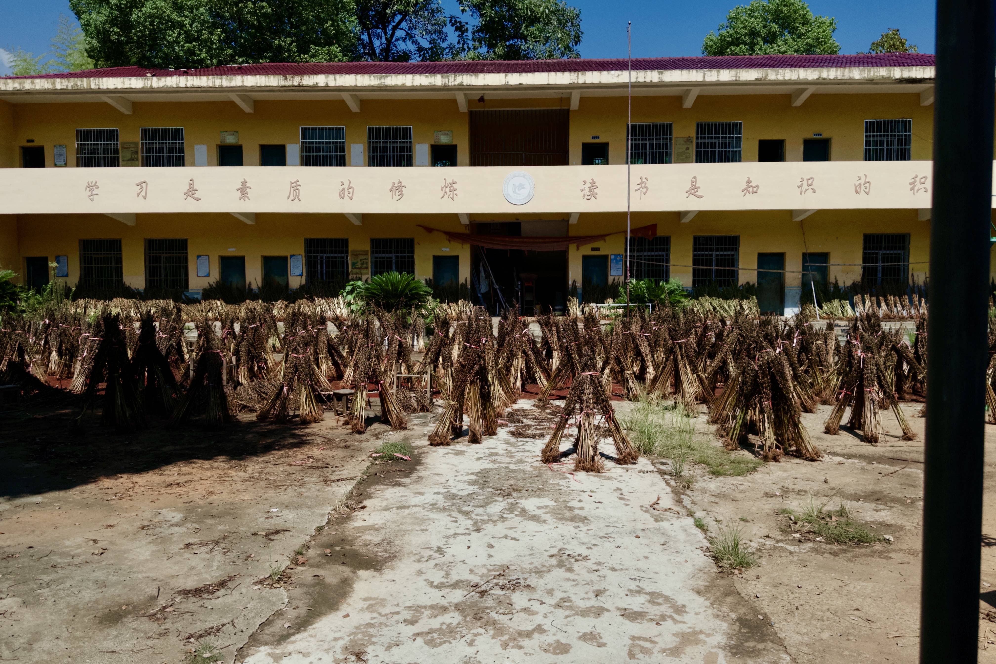 在县城当老师<strong></p>
<p>xrp币行情</strong>,没那么吃香了