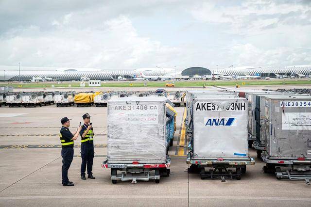 77.1万吨<strong></p>
<p>xrp币行情</strong>!深圳机场口岸货运吞吐量创历史新高