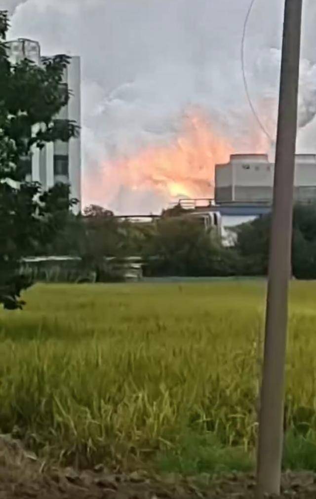 澄星股份工厂发生火灾?附近酒店:已灭火<strong></p>
<p>无链不币</strong>,有刺激性气味,建议不开窗