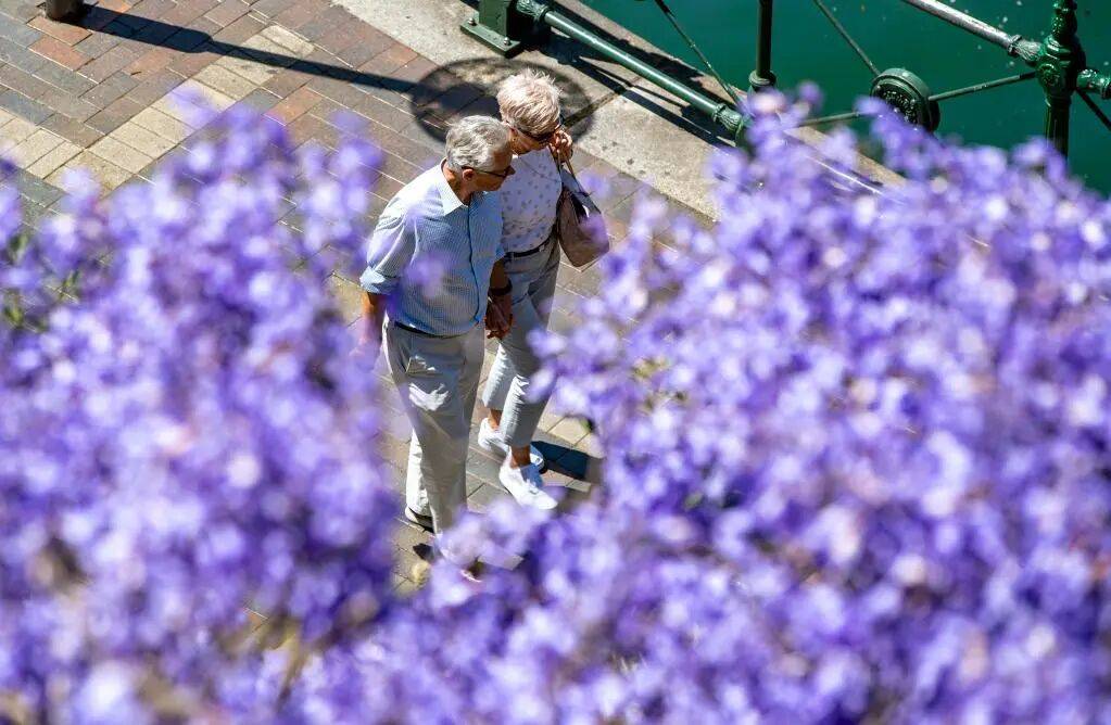 别说自己老了<strong></p>
<p>无链不币</strong>,大脑功能或60岁时达巅峰