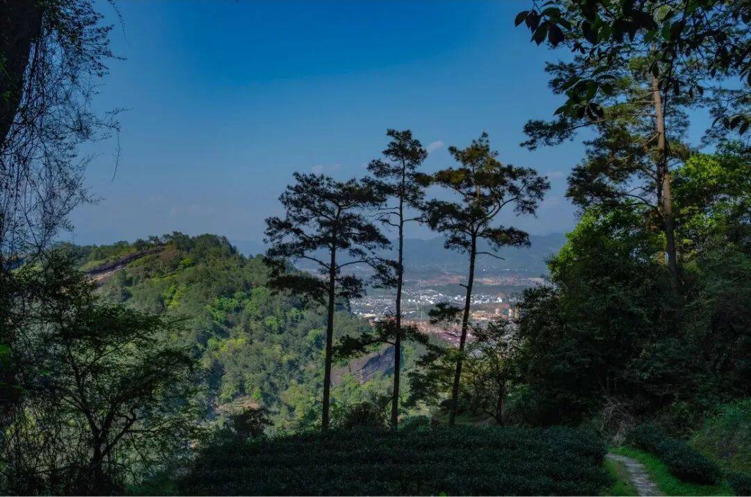 为什么年轻人迷上了爬山？ | 秋高气爽<strong></p>
<p>柚子币行情</strong>，是时候出发了→