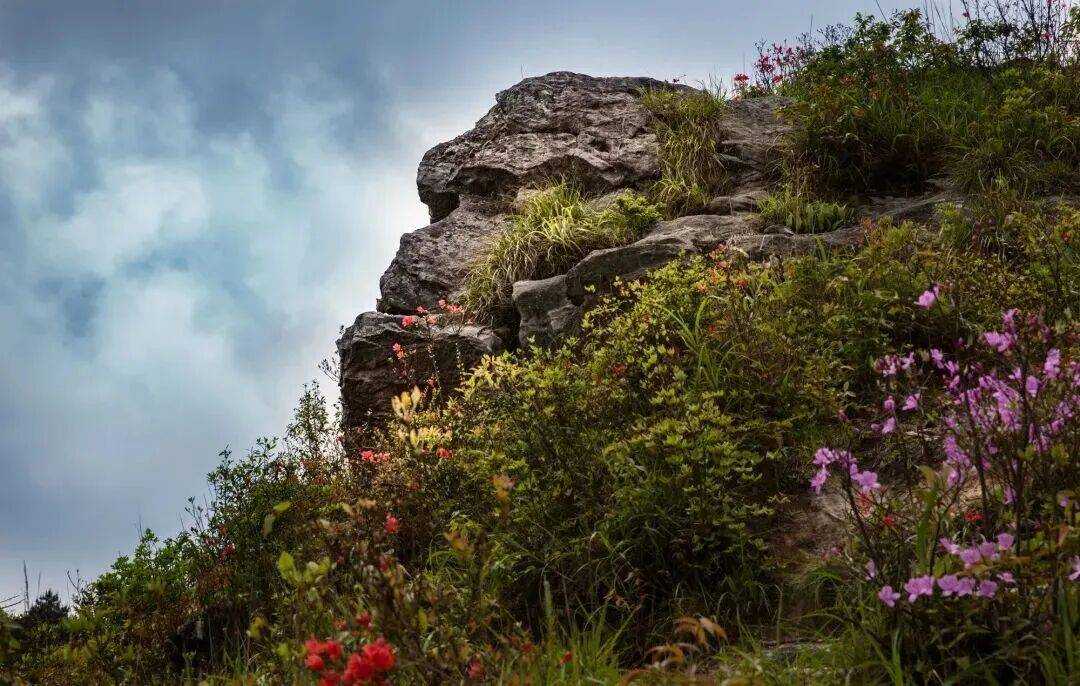 为什么年轻人迷上了爬山？ | 秋高气爽<strong></p>
<p>柚子币行情</strong>，是时候出发了→