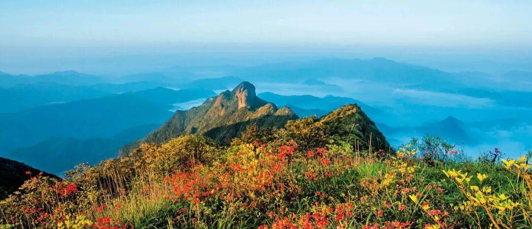 为什么年轻人迷上了爬山？ | 秋高气爽<strong></p>
<p>柚子币行情</strong>，是时候出发了→