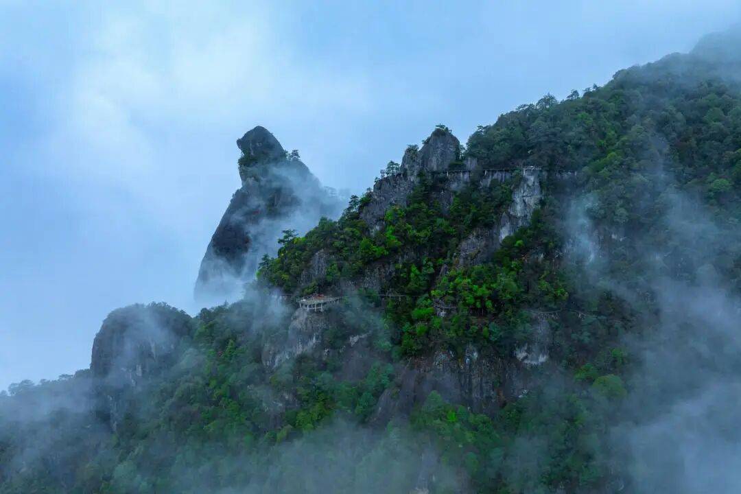 为什么年轻人迷上了爬山？ | 秋高气爽<strong></p>
<p>柚子币行情</strong>，是时候出发了→