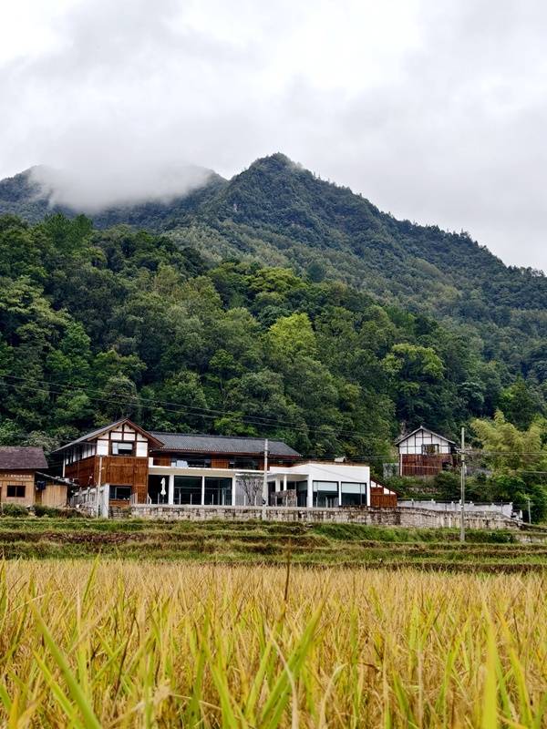 推窗见梯田<strong></p>
<p>柚子币行情</strong>！梧桐山民宿：把日子过成诗