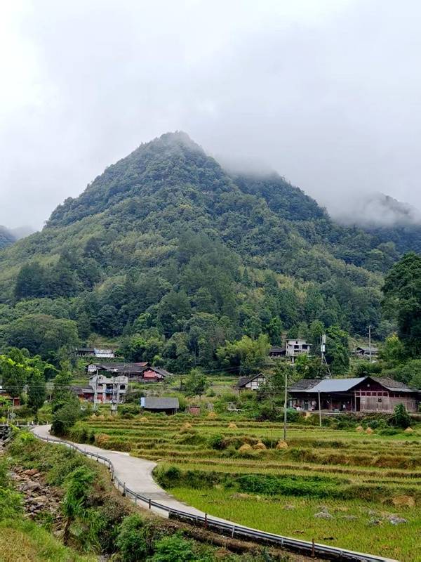 推窗见梯田<strong></p>
<p>柚子币行情</strong>！梧桐山民宿：把日子过成诗