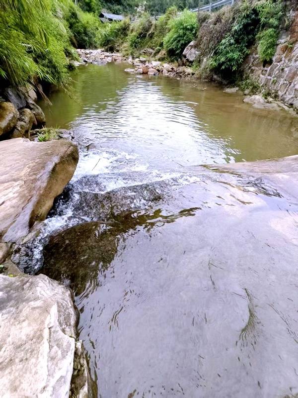 推窗见梯田<strong></p>
<p>柚子币行情</strong>！梧桐山民宿：把日子过成诗