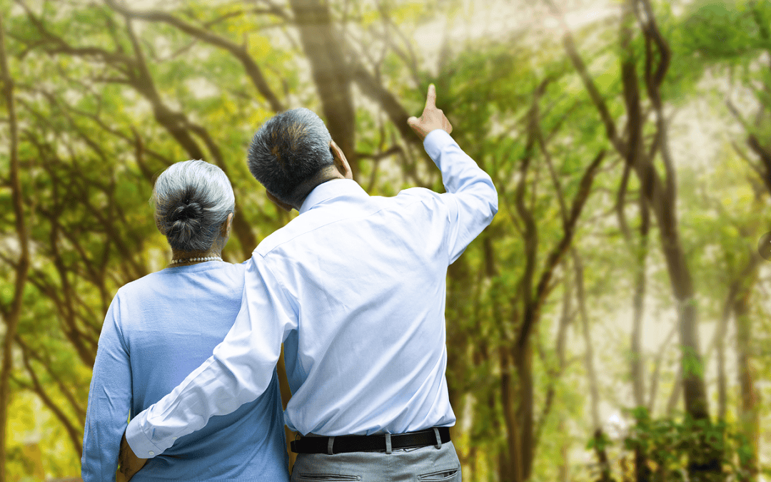 敬老月护“钱袋子”丨远离非法金融<strong></p>
<p>柚子币行情</strong>,守住幸福晚年