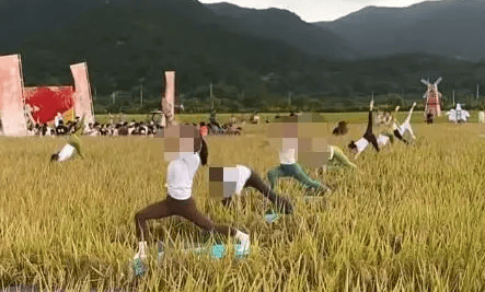 媒体:稻田开镰仪式<strong></p>
<p>柚子币行情</strong>,表演哪门子瑜伽?