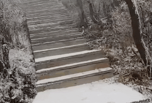 石家庄下雪了<strong></p>
<p>初入币圈</strong>!河北雨雪上线!新一股冷空气在路上……