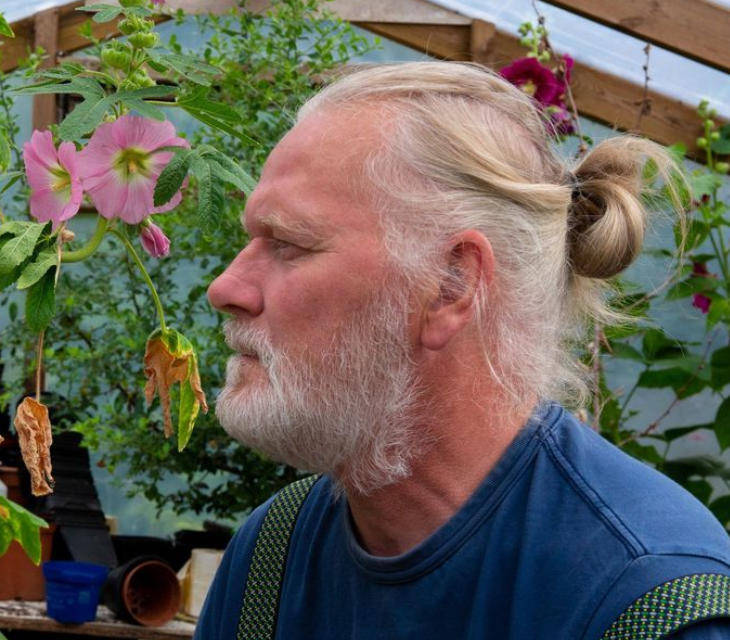 两只雌蚊和一只雄蚊被发现<strong></p>
<p>初入币圈</strong>,全球最后一个无蚊国冰岛“沦陷”