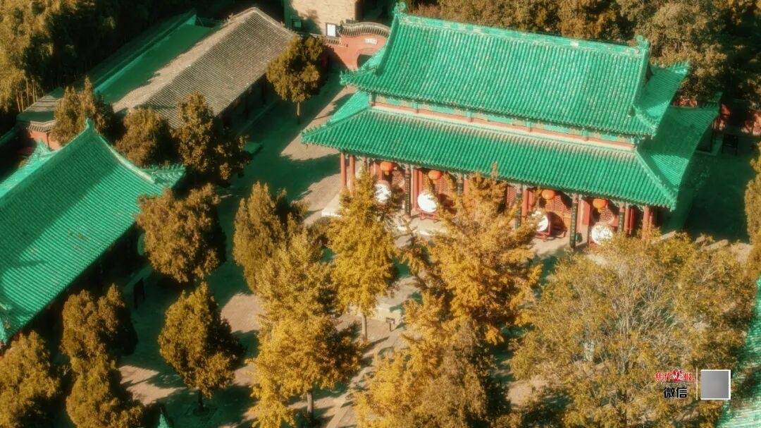 银杏金黄<strong></p>
<p>ccr炒币</strong>！铺满焦作的秋天！