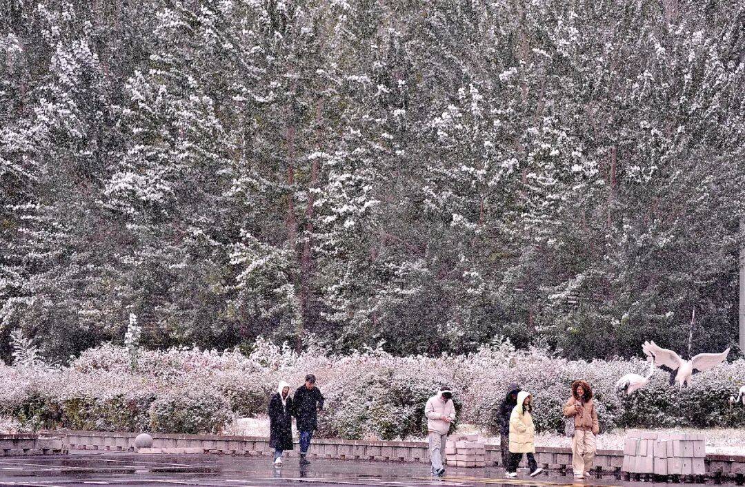 今年冬天是“超级冷冬”<strong></p>
<p>ccr炒币</strong>？最新回应