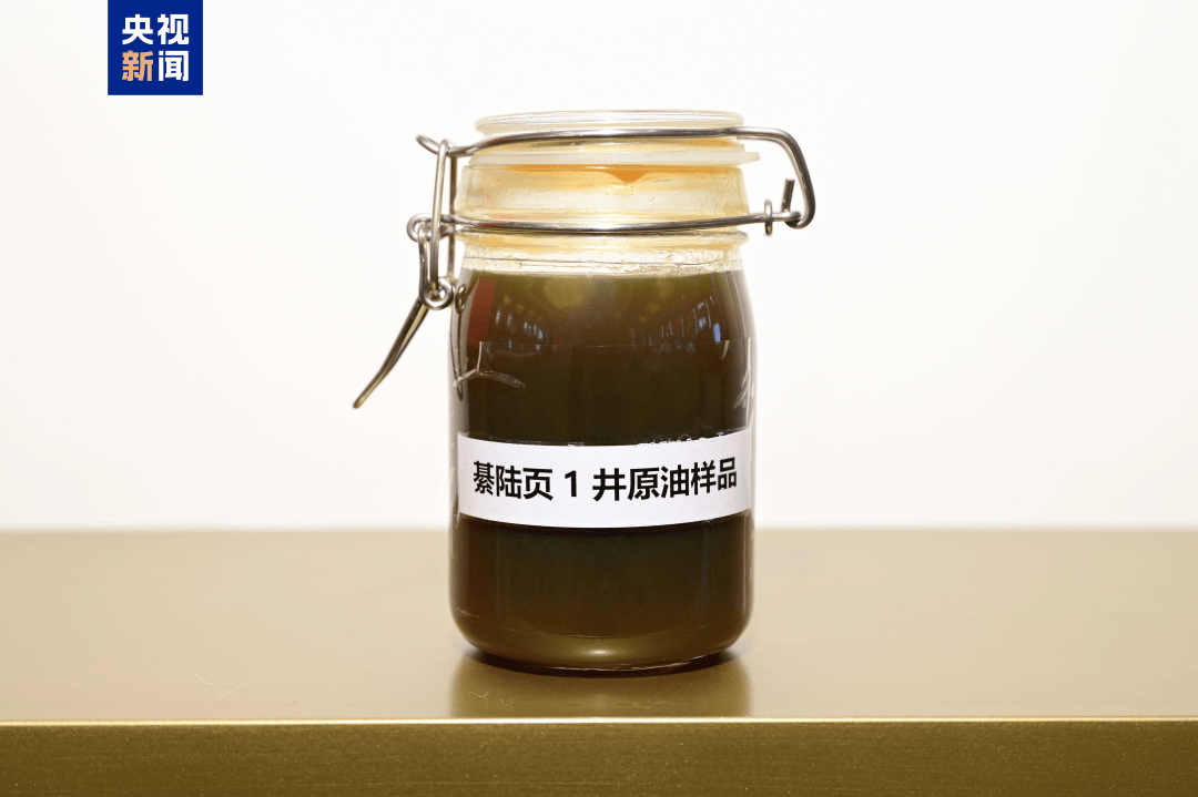 我国发现亿吨级页岩油资源<strong></p>
<p>源币网</strong>!