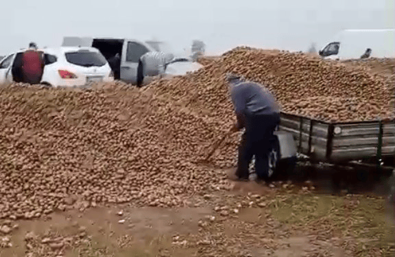 波兰68岁农民收获的150吨土豆被一夜搬空<strong></p>
<p>币说</strong>, 只因帖子遭篡改