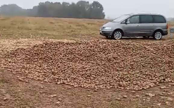 波兰68岁农民收获的150吨土豆被一夜搬空<strong></p>
<p>币说</strong>, 只因帖子遭篡改