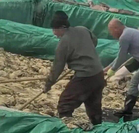 男子在酸菜池内抽烟吐痰<strong></p>
<p>币圈神话</strong>，官方通报！