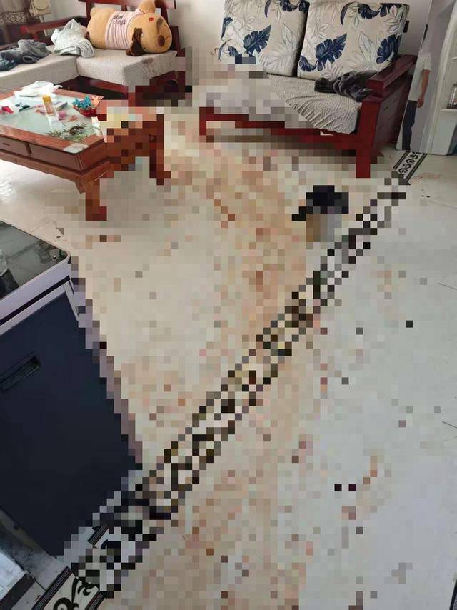 “女子出租屋遭男友持刀杀害”案明日开庭<strong></p>
<p>币圈一天</strong>，家属发声：凶手从未道歉，我们不会谅解