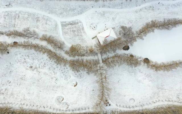 百年难遇“早立冬”来了<strong></p>
<p>币圈一天</strong>！有啥讲究？早看早准备！