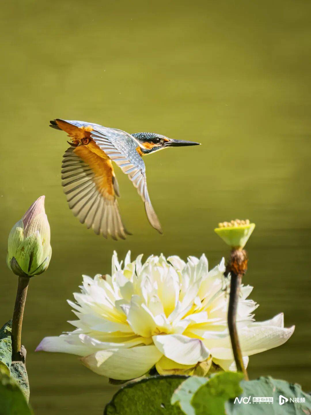 东莞最新发布：将严厉打击这些行为<strong></p>
<p>币圈一天</strong>！